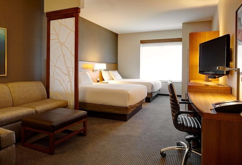 Номер Стандарт 2 Двуспальные Кровати, Hyatt Place Atlanta Downtown