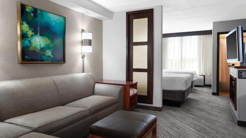 Номер Стандарт, Hyatt Place Atlanta Downtown