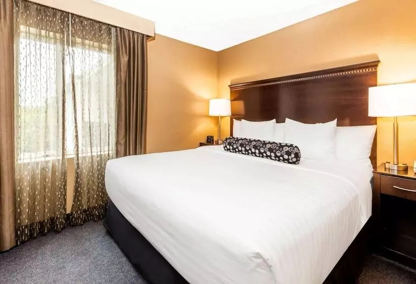 キングサイズベッドのスイートルーム, La Quinta By Wyndham Seattle Downtown