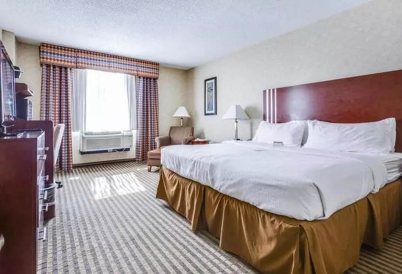 اتاق استاندارد با تخت بزرگ برای معلولان, Lynchburg Grand