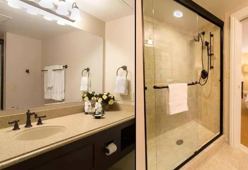 اتاق استاندارد با تخت بزرگ, Nassau Inn