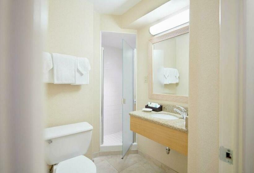 غرفه قياسيه سريرين مزدوجين, Outrigger Waikiki Paradise