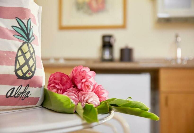 إستوديو قياسى سرير كينج, Outrigger Waikiki Paradise