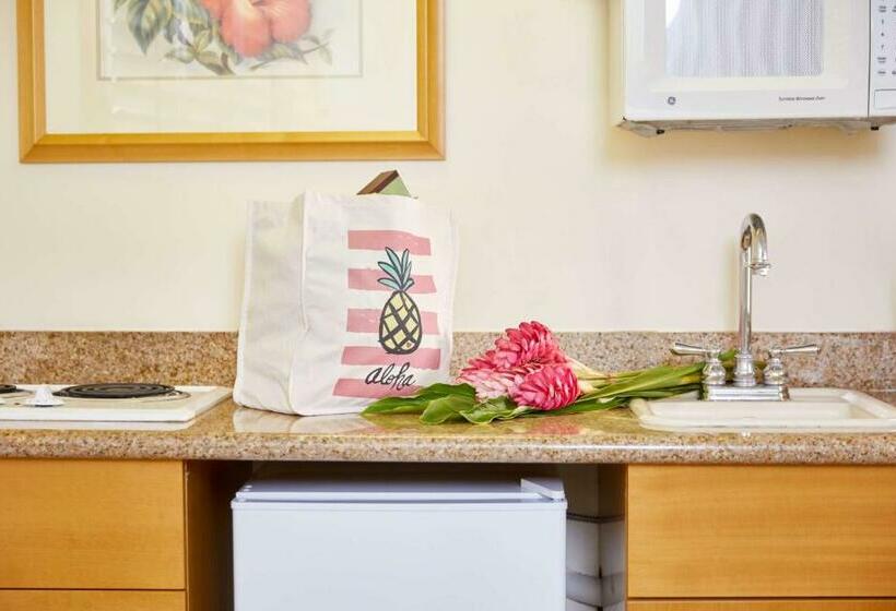 إستوديو قياسى, Outrigger Waikiki Paradise