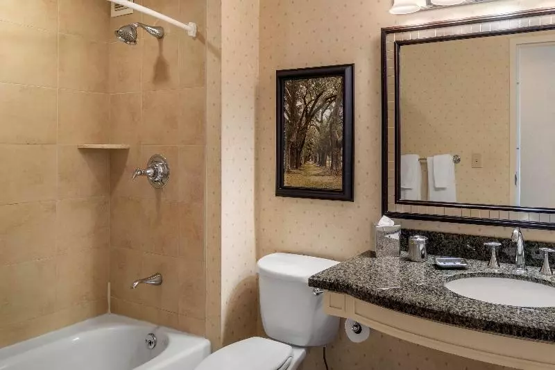 デラックスルーム, Omni Atlanta Hotel At Centennial Park
