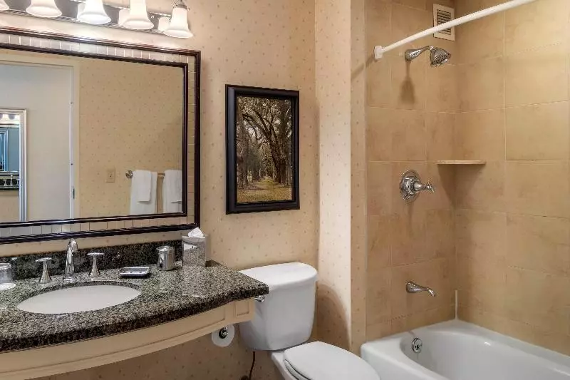 デラックスルーム, Omni Atlanta Hotel At Centennial Park