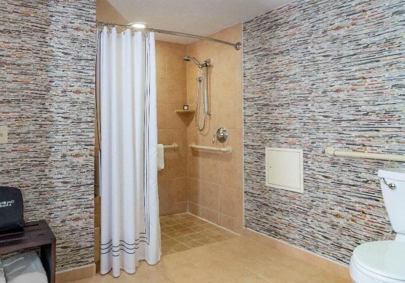 스탠다드 룸 킹사이즈 침대, Omni Atlanta Hotel At Centennial Park