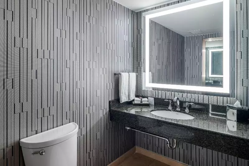 سوئیت با تخت بزرگ, Omni Atlanta Hotel At Centennial Park