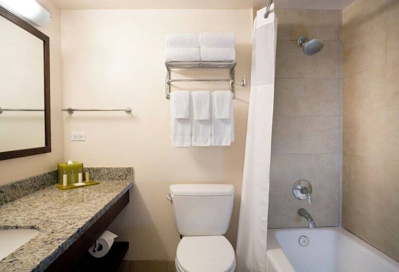 غرفه قياسيه سريرين مزدوجين, Park Shore Waikiki