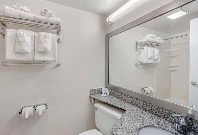 Стандартный Номер Кровать Кинг, Quality Inn Enola Harrisburg