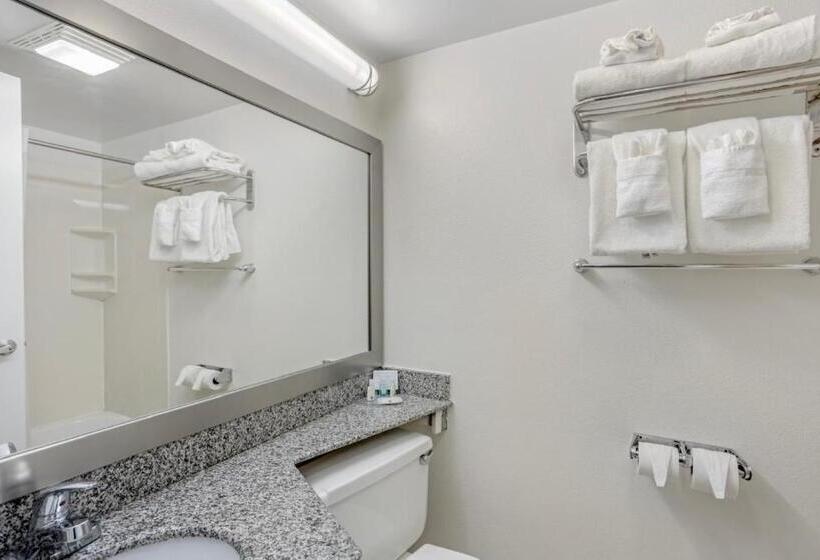 Номер Стандарт 2 Двуспальные Кровати, Quality Inn Enola Harrisburg