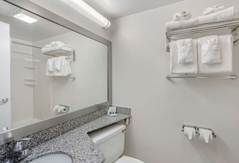 Номер Стандарт 2 Двуспальные Кровати, Quality Inn Enola Harrisburg