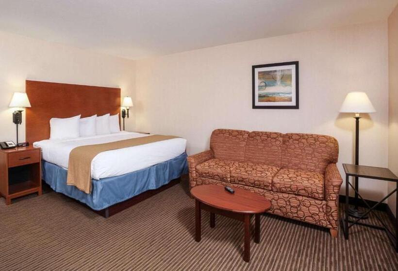 스탠다드 룸 킹사이즈 침대, Quality Inn Oakwood