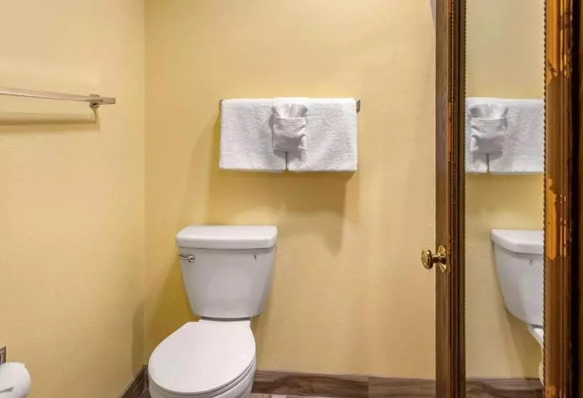 اتاق استاندارد با تخت بزرگ, Quality Inn Paradise Creek