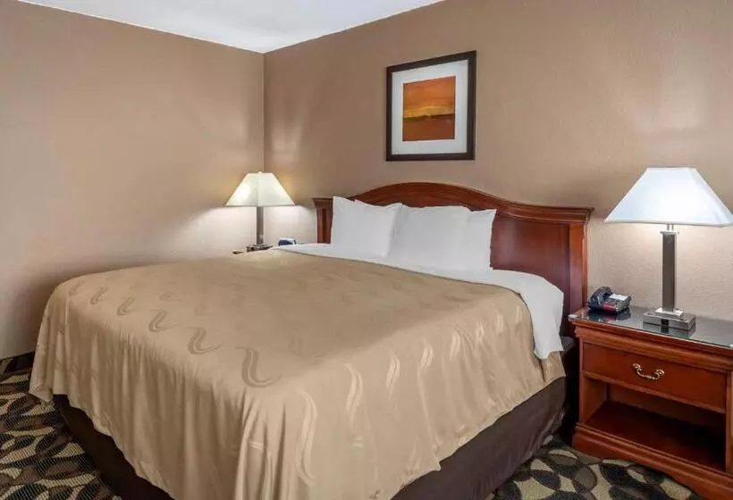 اتاق استاندارد با تخت بزرگ, Quality Inn Paradise Creek