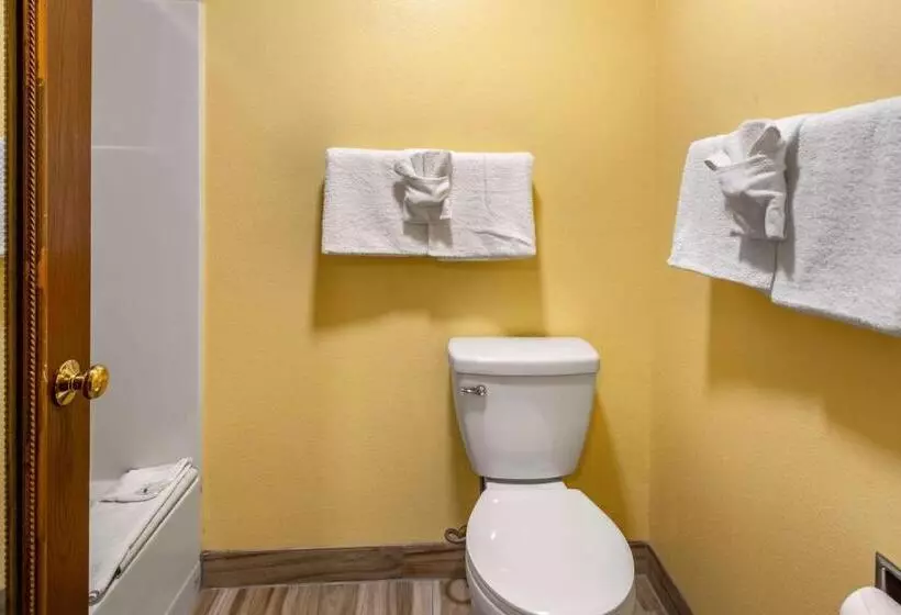 اتاق استاندارد, Quality Inn Paradise Creek
