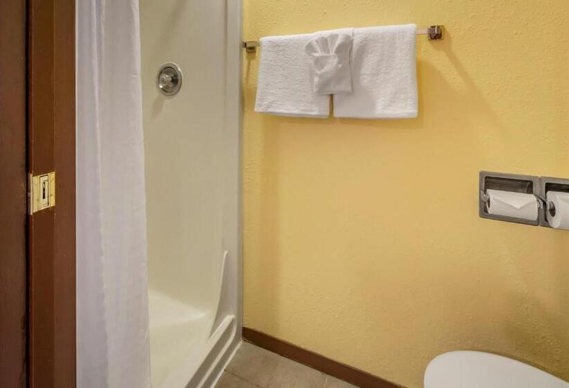 جناح سرير كينج, Quality Inn Paradise Creek