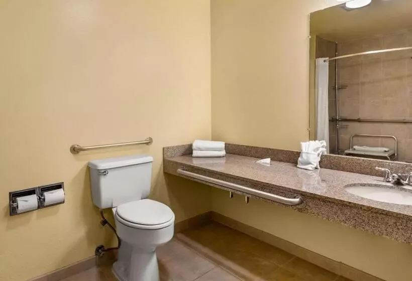 اتاق استاندارد با تخت بزرگ برای معلولان, Quality Inn Paradise Creek