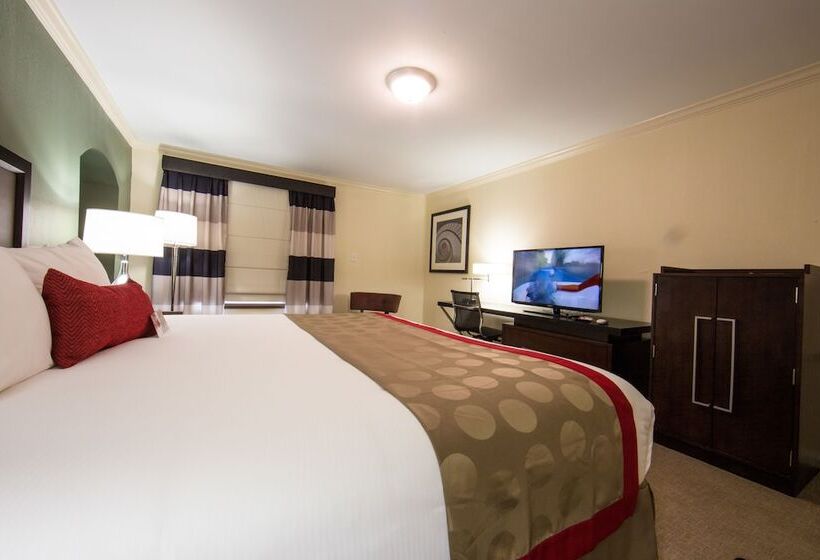 סטודיו דלוקס, Ramada By Wyndham Houston Intercontinental Airport East