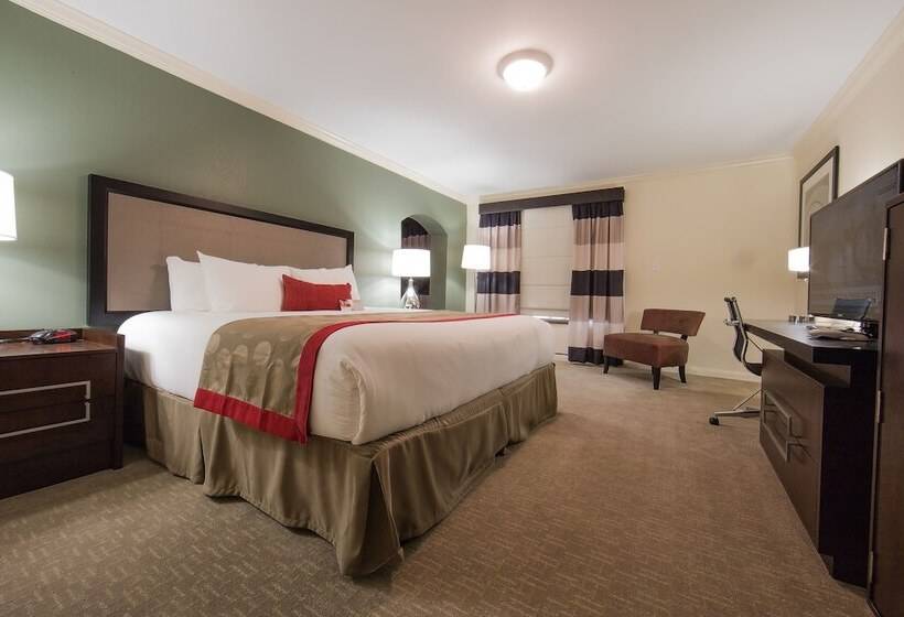 סטודיו דלוקס, Ramada By Wyndham Houston Intercontinental Airport East