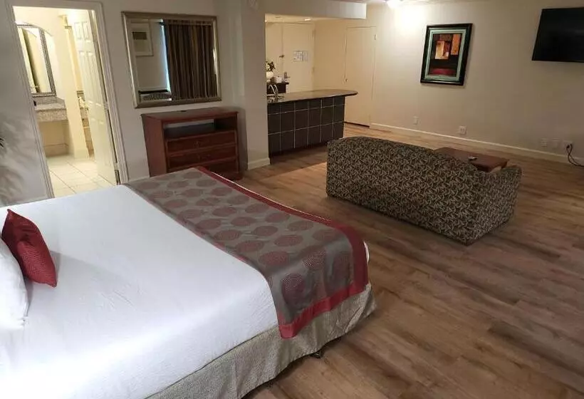 سوئیت با تخت بزرگ, Ramada By Wyndham Houston Intercontinental Airport East