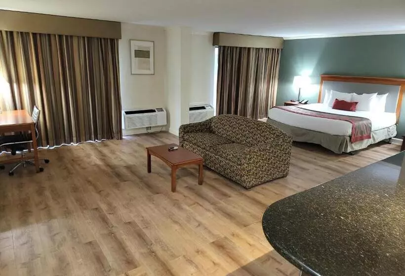 سوئیت با تخت بزرگ, Ramada By Wyndham Houston Intercontinental Airport East
