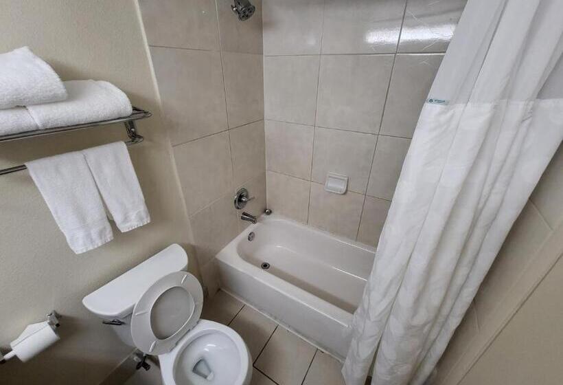 חדר סטנדרט, Ramada By Wyndham Houston Intercontinental Airport East