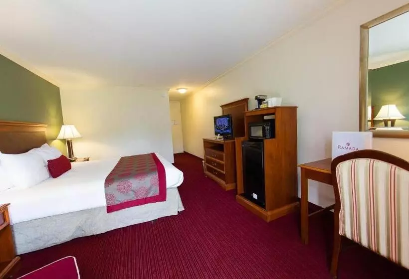 اتاق استاندارد با تخت بزرگ, Ramada By Wyndham Houston Intercontinental Airport East