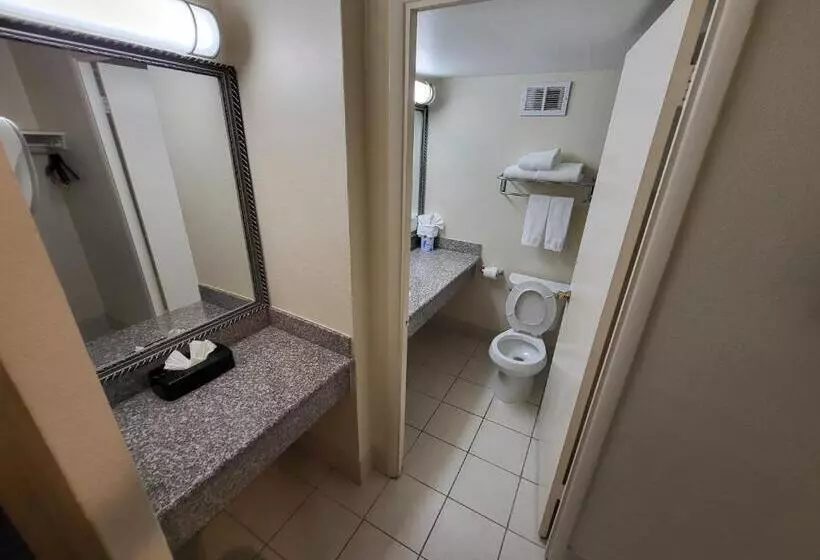 اتاق استاندارد با تخت بزرگ, Ramada By Wyndham Houston Intercontinental Airport East