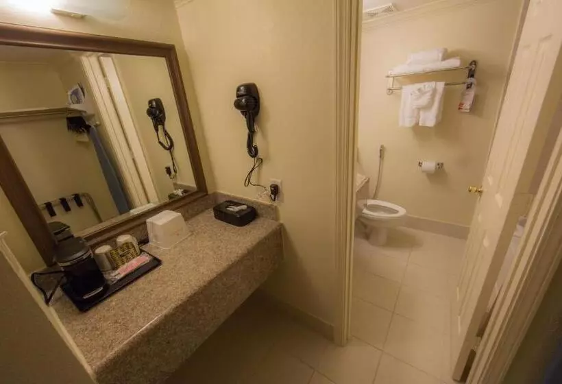 اتاق لوکس با تخت بزرگ, Ramada By Wyndham Houston Intercontinental Airport East