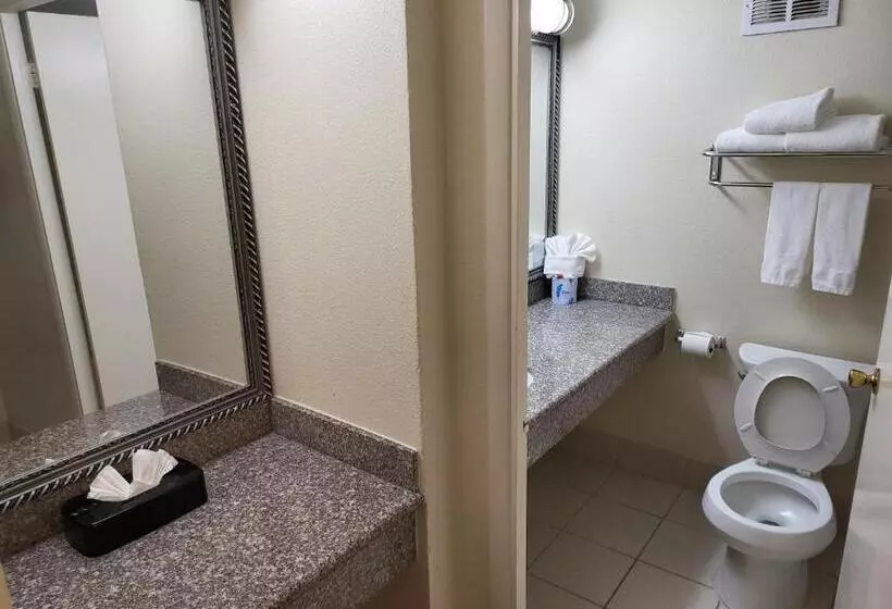اتاق استاندارد برای معلولان, Ramada By Wyndham Houston Intercontinental Airport East