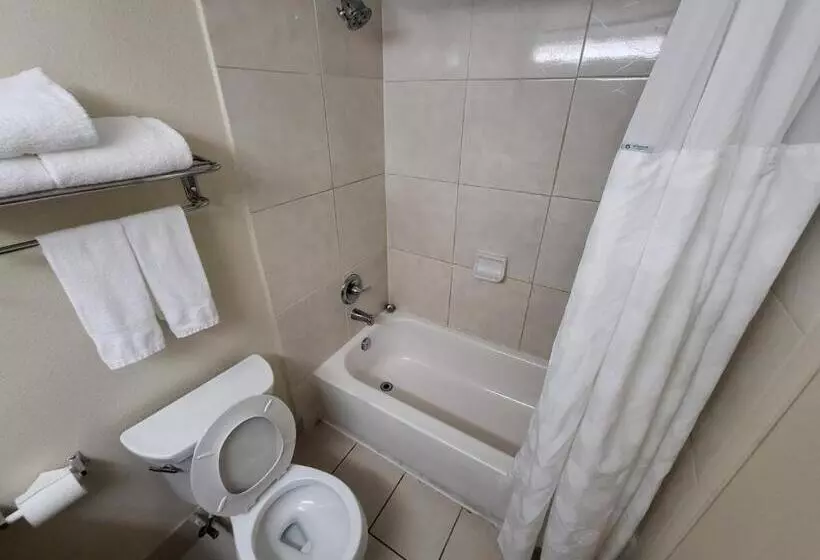 اتاق استاندارد برای معلولان, Ramada By Wyndham Houston Intercontinental Airport East