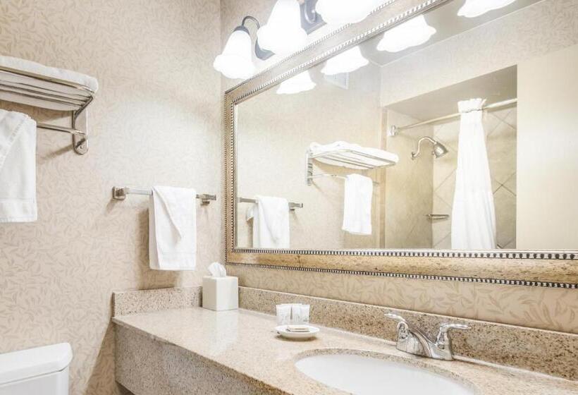 اتاق استاندارد با تخت بزرگ, Red Lion Hotel Portland Airport