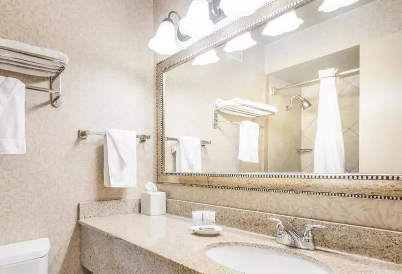 Standard-huone King-vuode, Red Lion Hotel Portland Airport