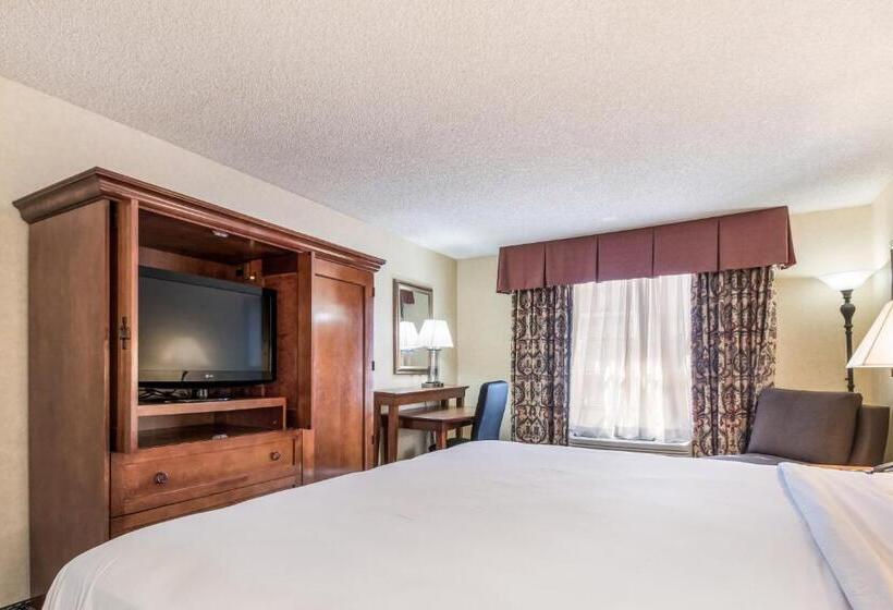 اتاق استاندارد با تخت بزرگ, Red Lion Hotel Portland Airport