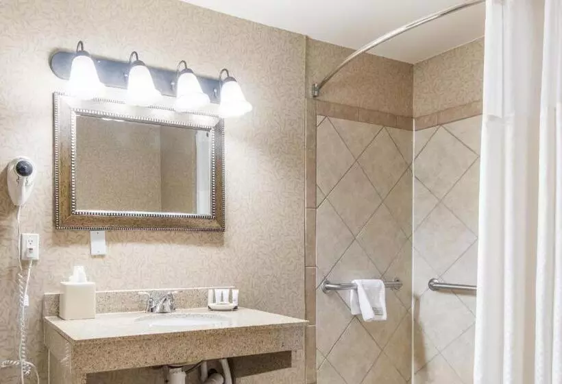 Standard-huone King-vuode, Red Lion Hotel Portland Airport