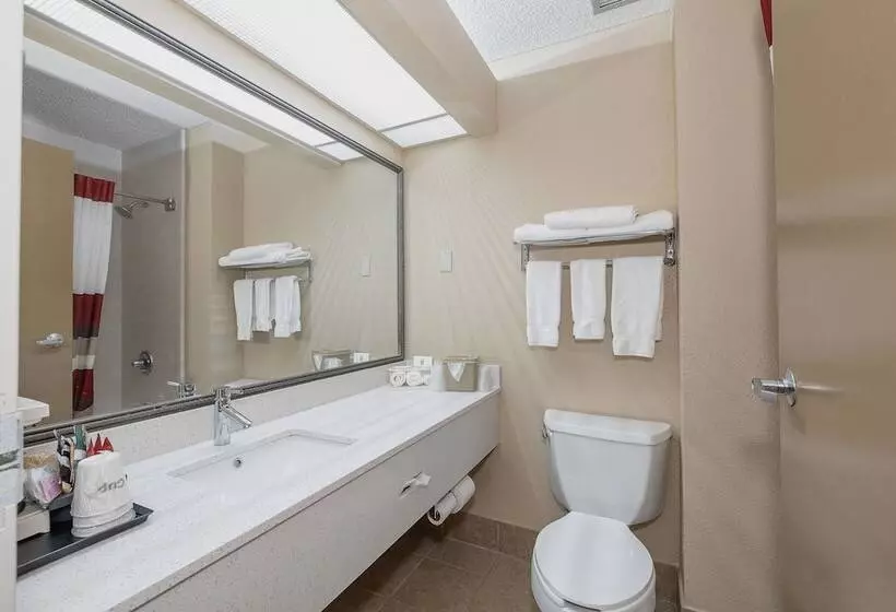 デラックスルーム, Red Roof Inn & Suites Macon