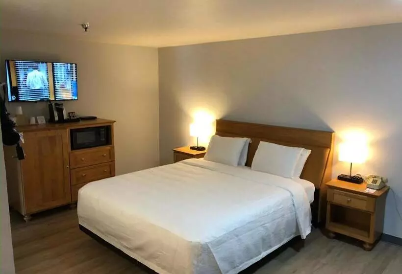 اتاق استاندارد با تخت بزرگ, Seabird Lodge Fort Bragg