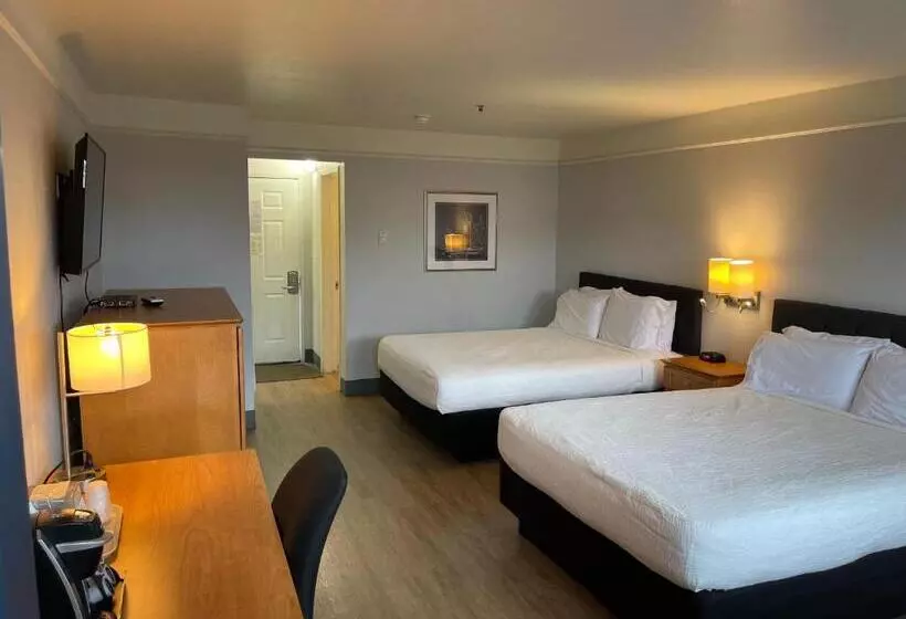 اتاق استاندارد اینتریور, Seabird Lodge Fort Bragg