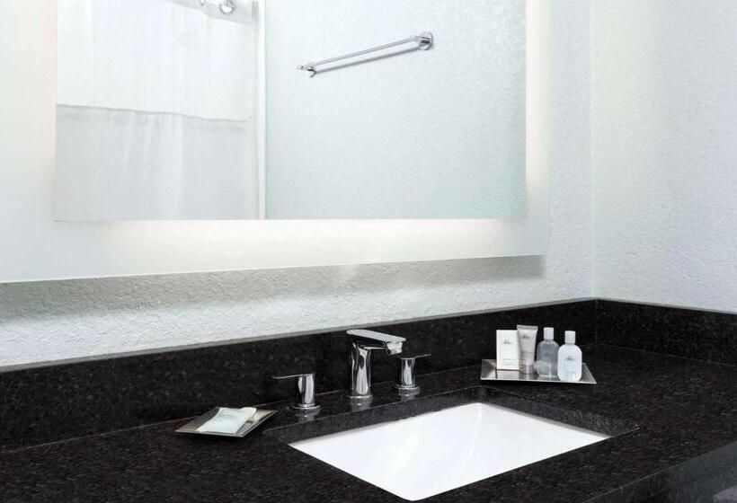 キングサイズベッドのジュニアスイート, Wyndham Orlando Resort International Drive