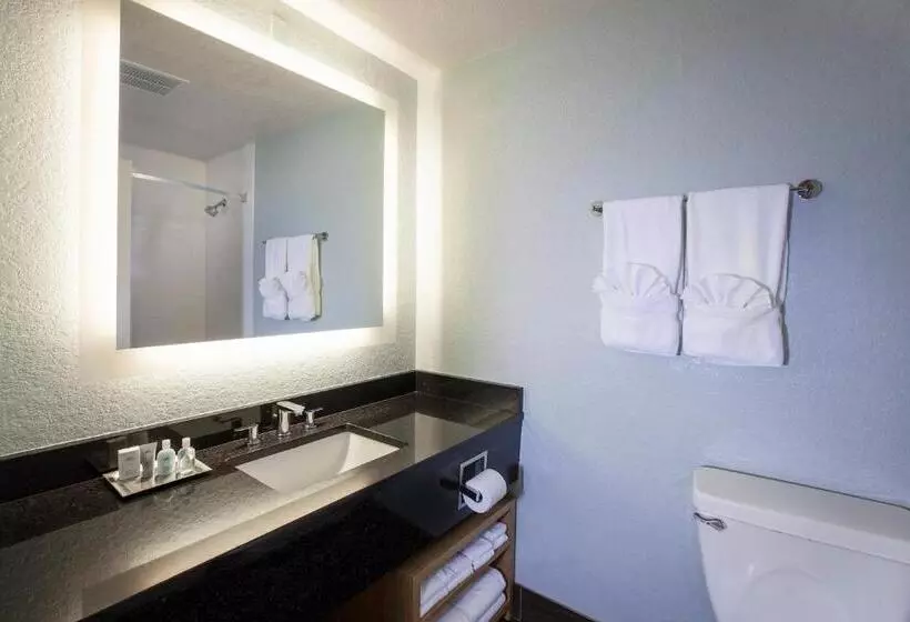 身障者適用キングサイズベッドルーム, Wyndham Orlando Resort International Drive