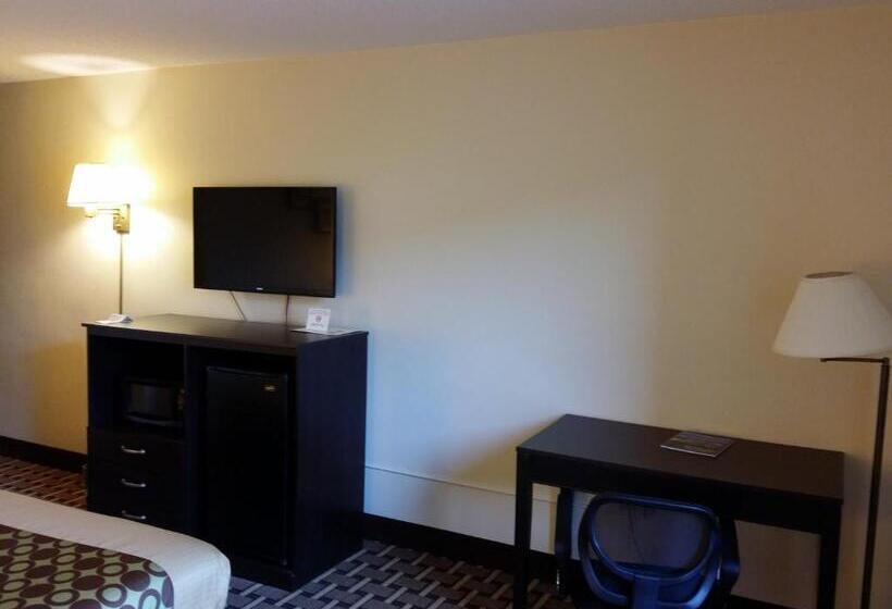 스탠다드 룸 킹사이즈 침대, Ahoskie Inn