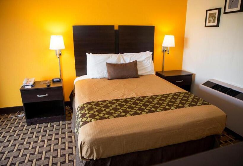 스탠다드 룸 킹사이즈 침대, Ahoskie Inn