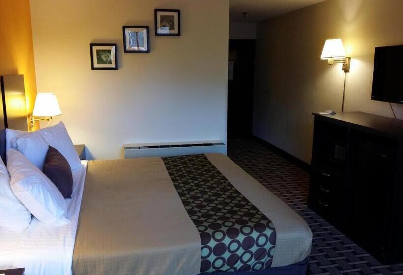 스탠다드 룸, Ahoskie Inn