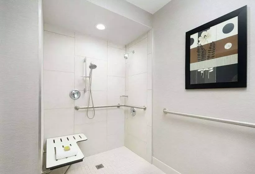 اتاق استاندارد برای معلولان, Doubletree By Hilton Colorado Springs
