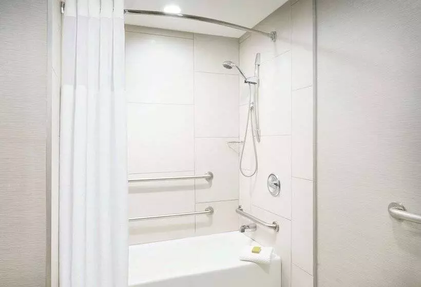 اتاق استاندارد برای معلولان, Doubletree By Hilton Colorado Springs