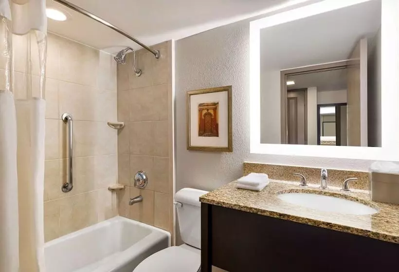 اتاق استاندارد با 2 تخت دوبل, Doubletree By Hilton Hotel New Orleans Airport
