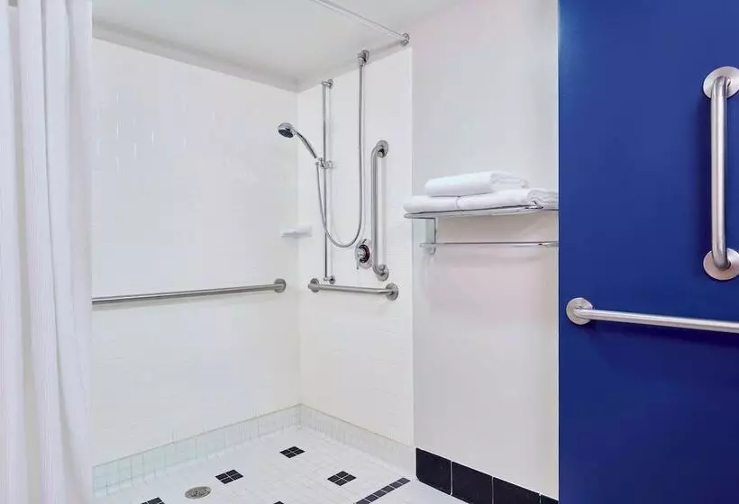 سوییت, Fairfield Inn Suites Indianapolis Downtown