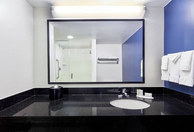 Suíte, Fairfield Inn Suites Indianapolis Downtown