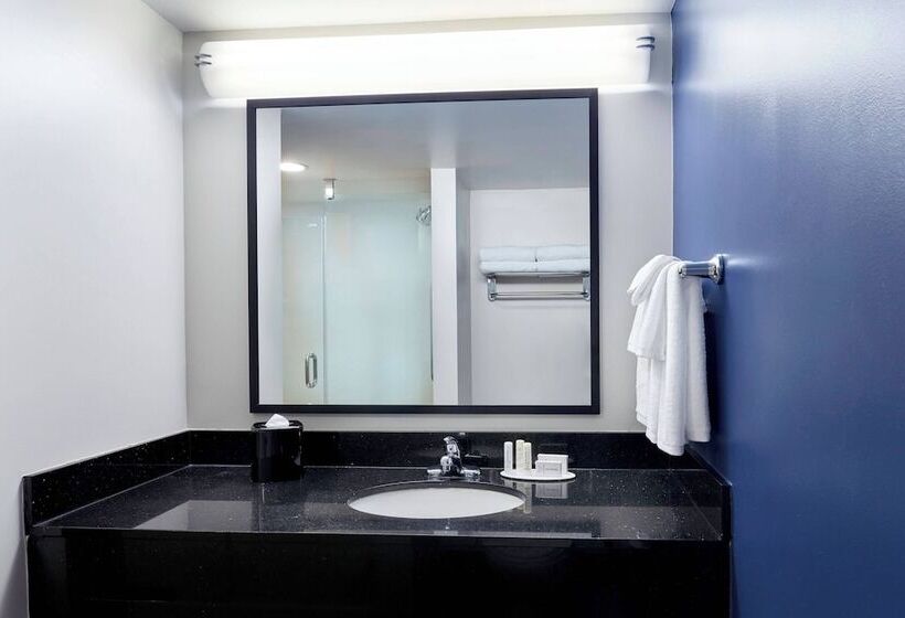 סוויטה, Fairfield Inn Suites Indianapolis Downtown